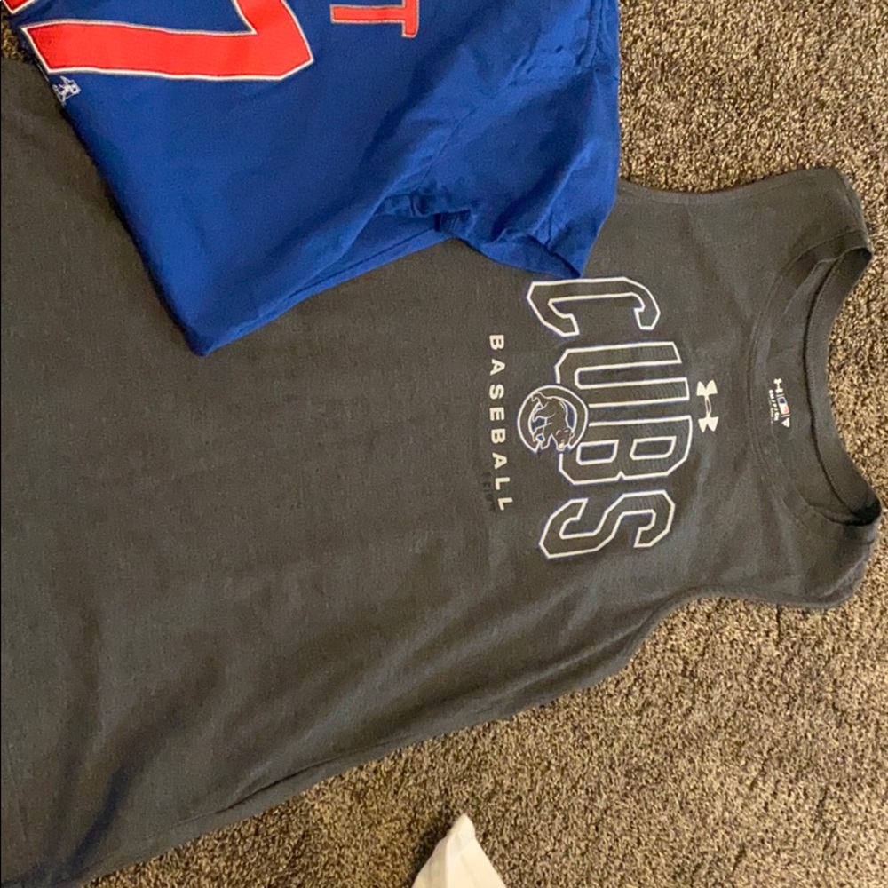 Chicago Cubs lot size small